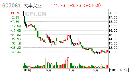 大豐實業(yè)對外投資設(shè)立全資子公司并完成工商登記
